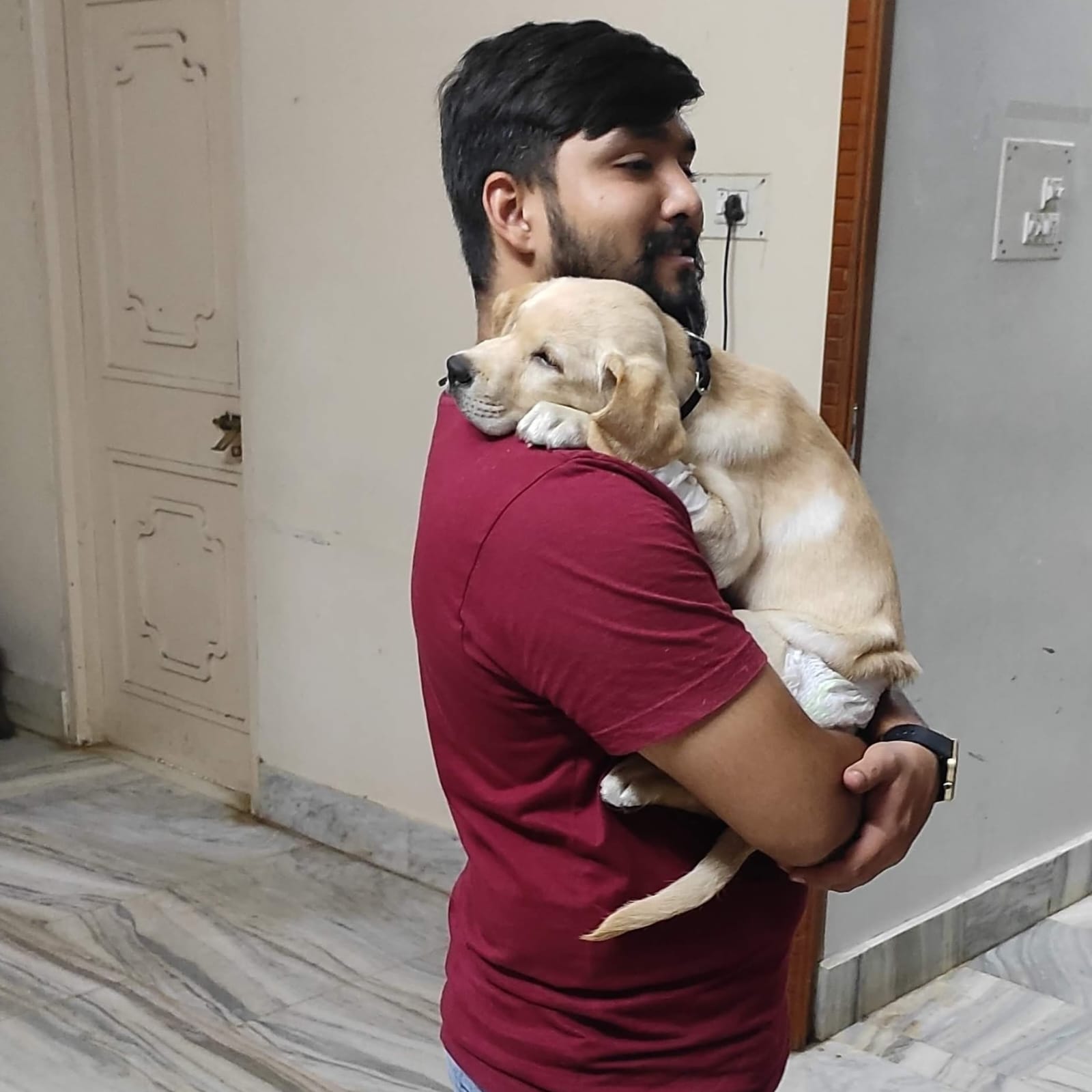 PetSafe gallery photo 1
