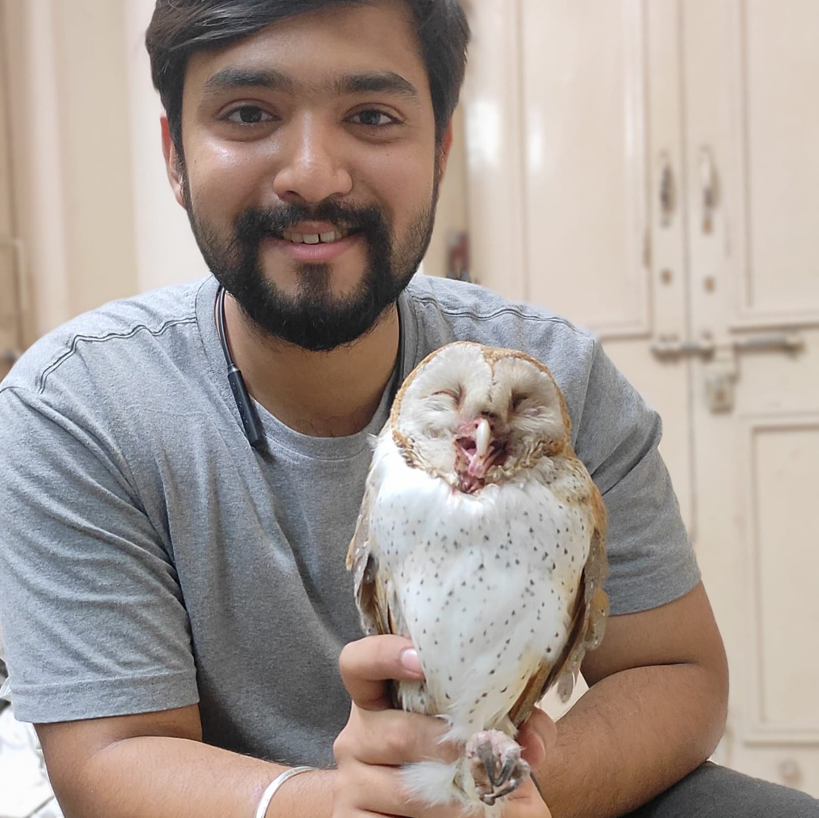PetSafe gallery photo 4
