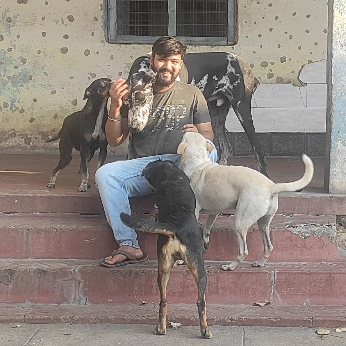 PetSafe gallery photo 5