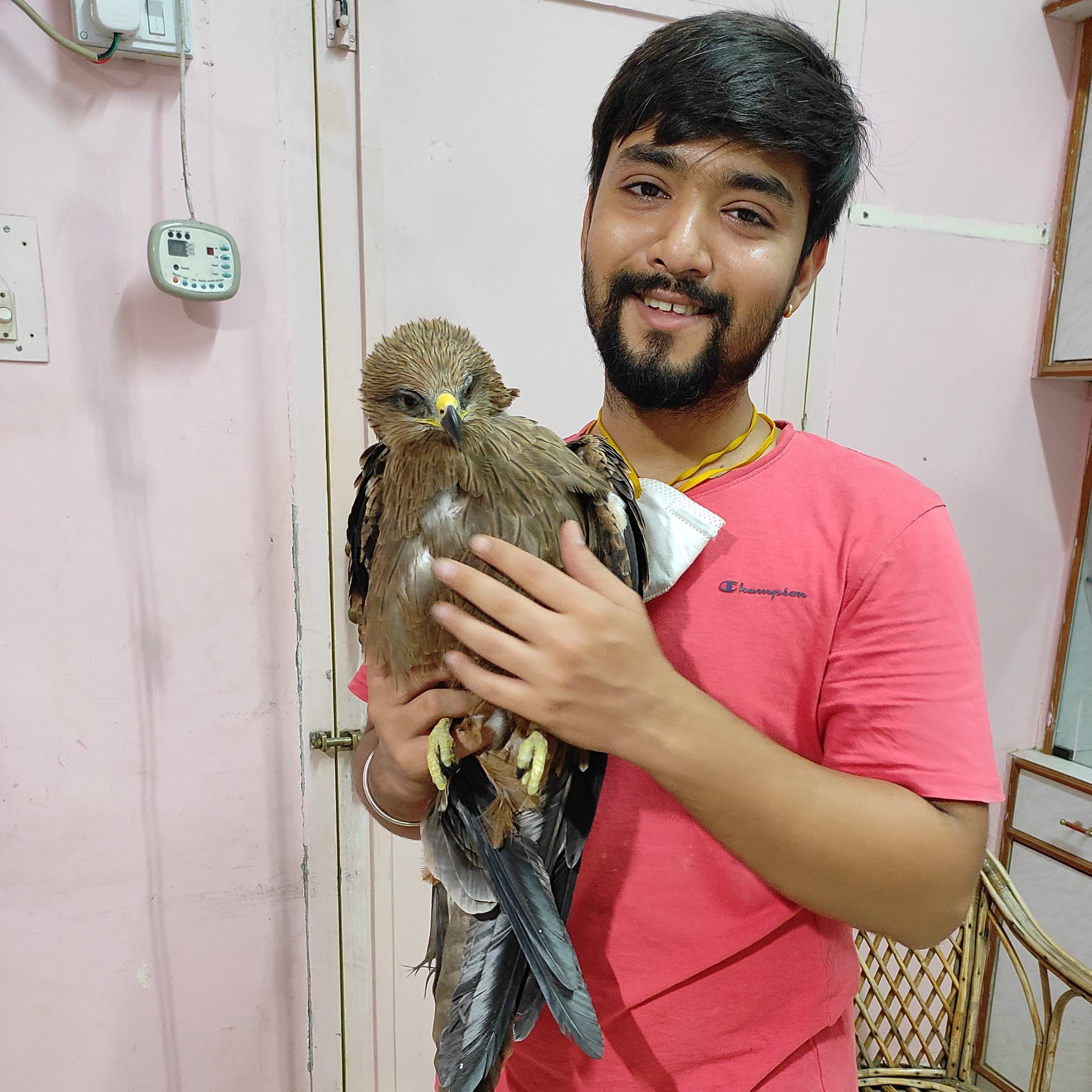 PetSafe gallery photo 7